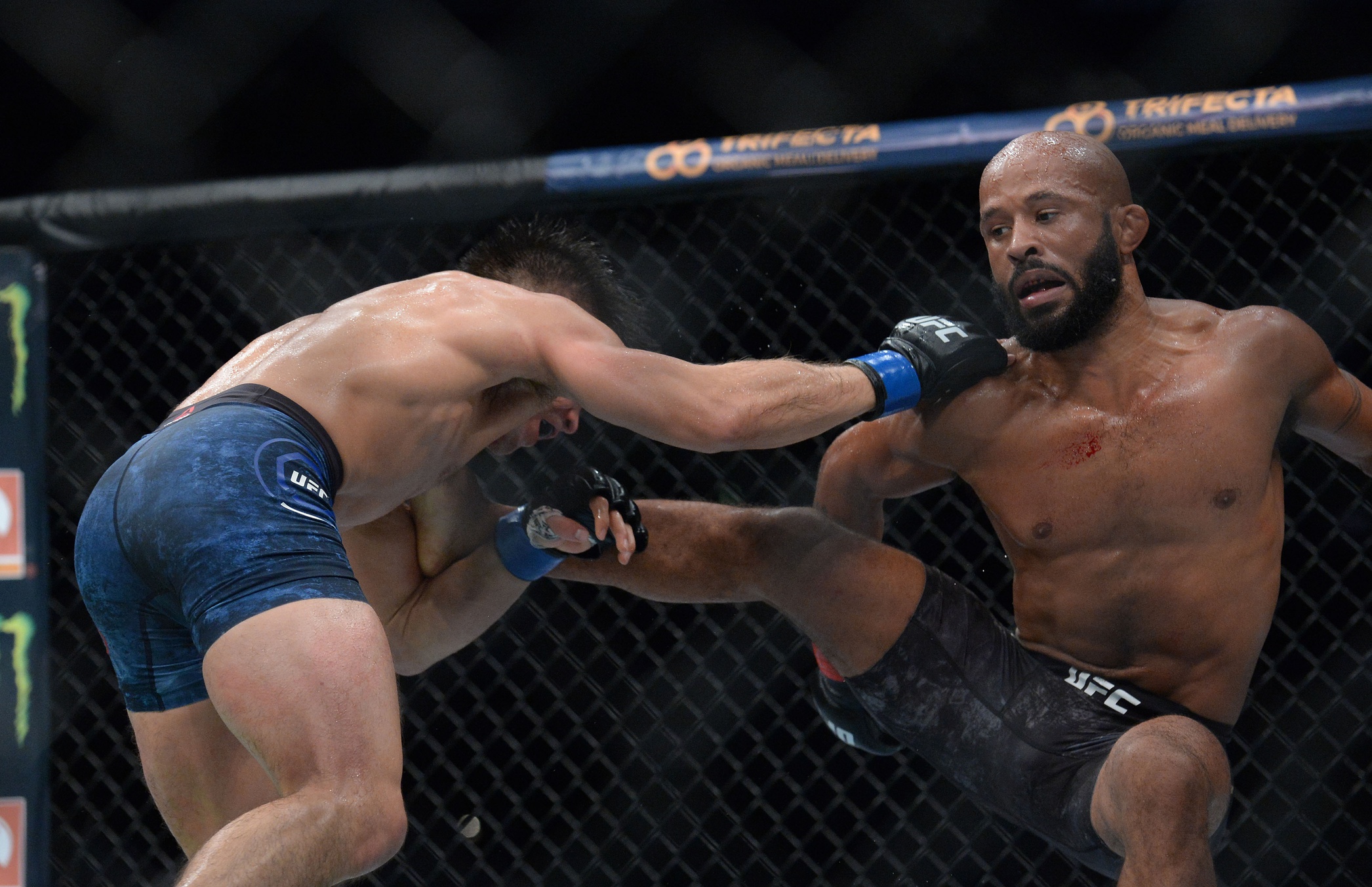 demetrious johnson kicks henry cejduo