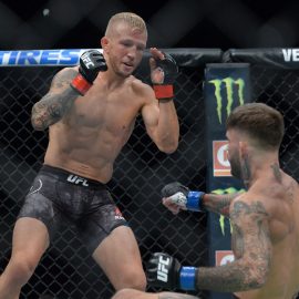 tj dillashaw drops cody garbrandt