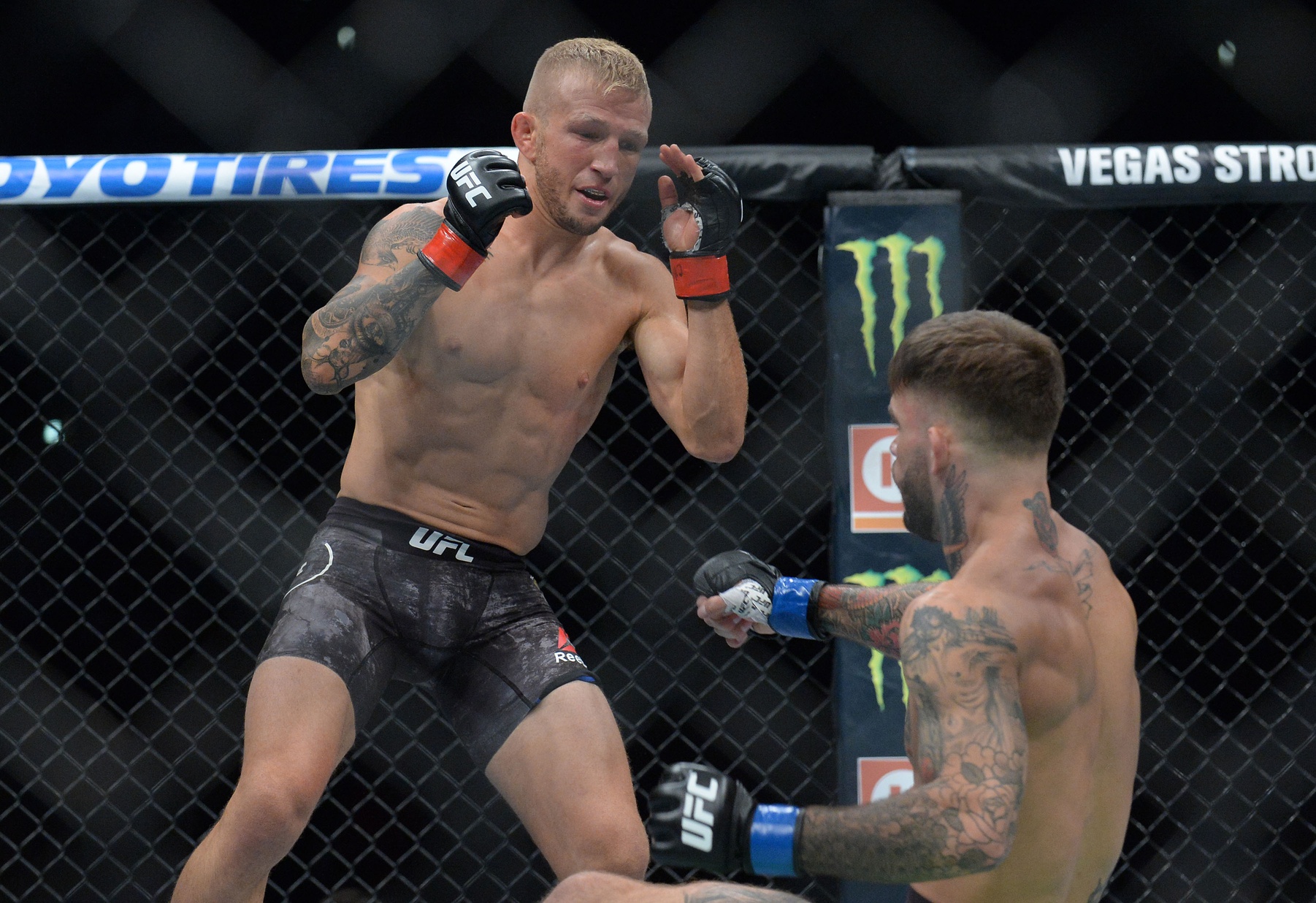 tj dillashaw drops cody garbrandt
