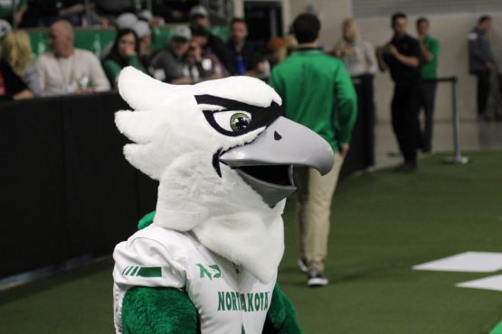 Hawks Mascot