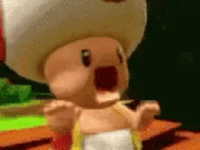 Toad