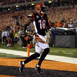 NFL: Baltimore Ravens at Cincinnati Bengals