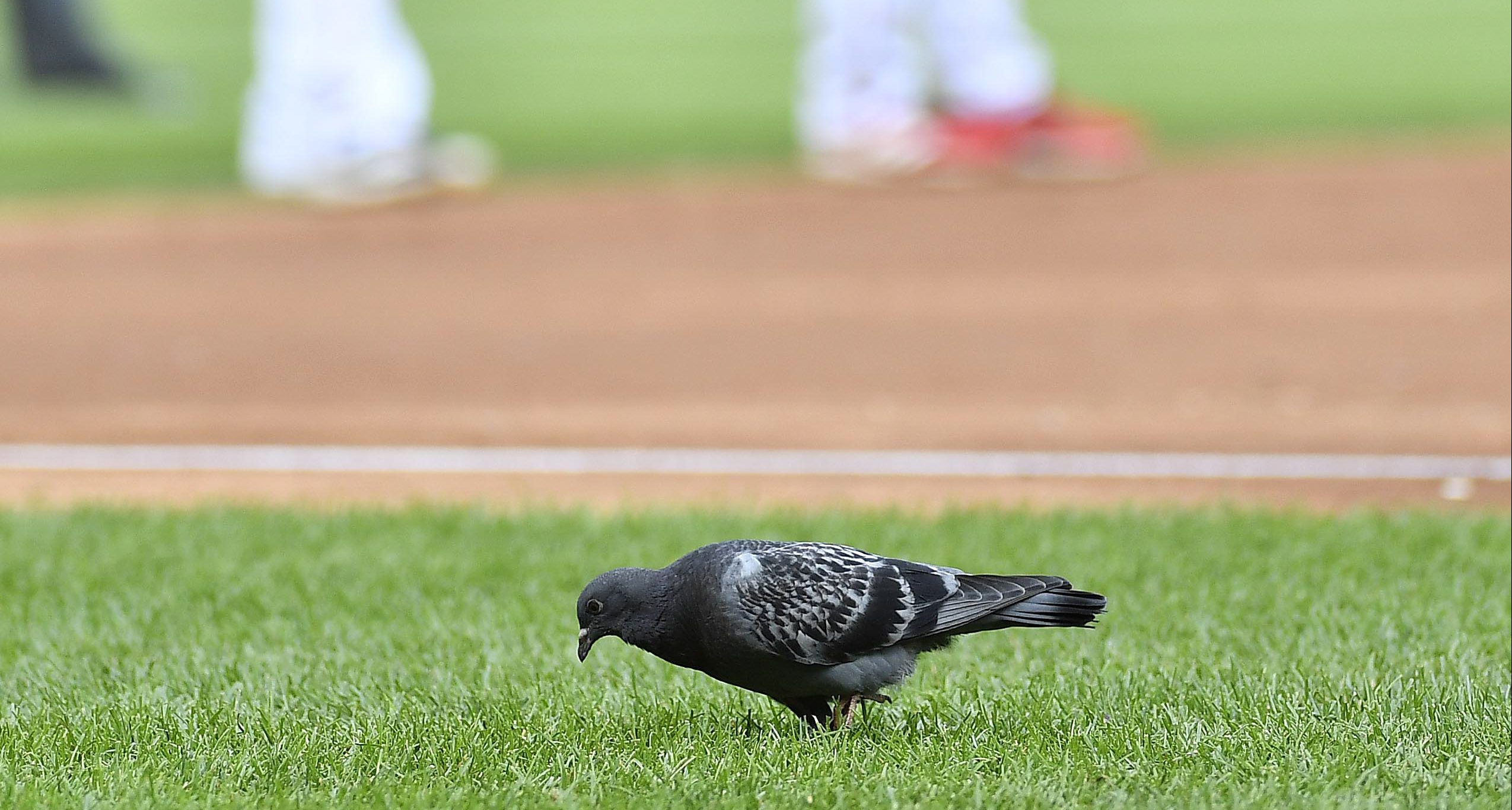 MLB: New York Mets at Washington Nationals