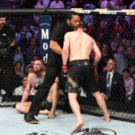 ufc 229