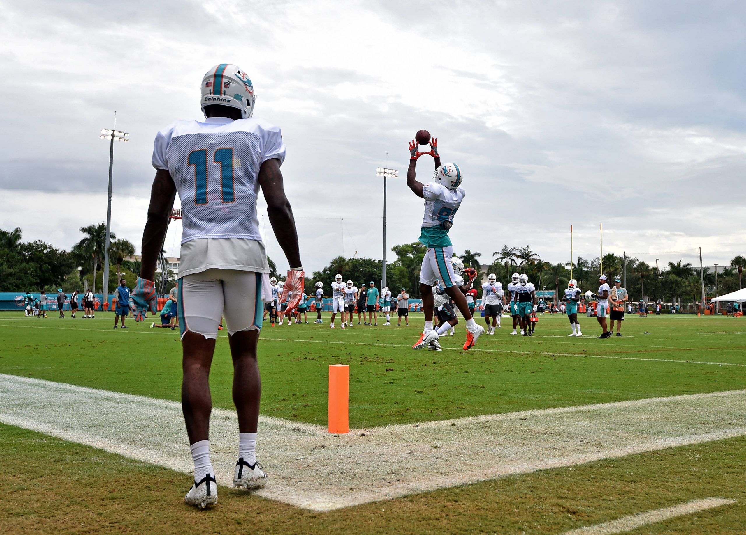 NFL: Miami Dolphins-Training Camp