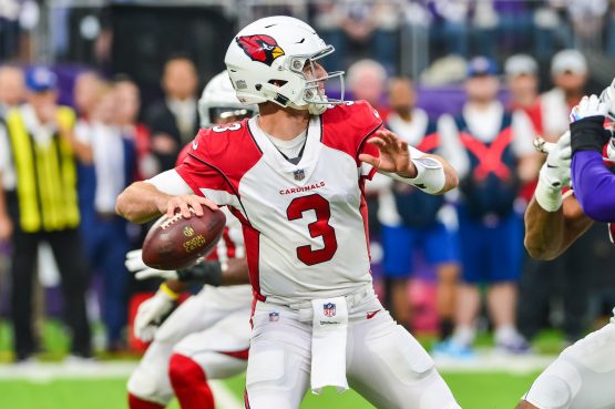 NFL: Arizona Cardinals at Minnesota Vikings