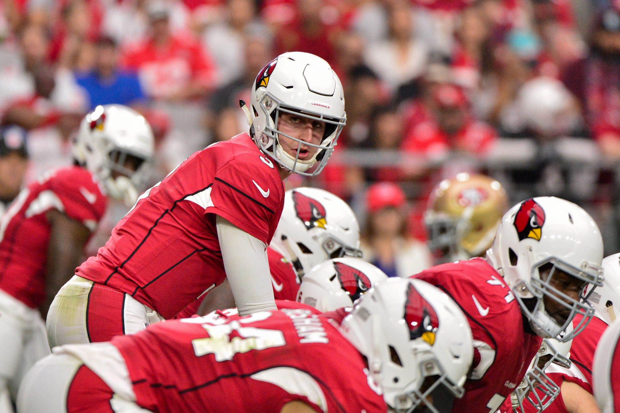 NFL: San Francisco 49ers at Arizona Cardinals