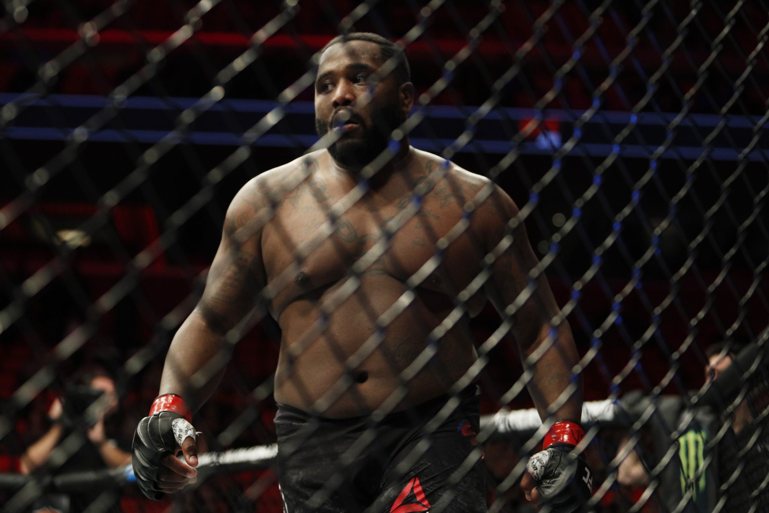 MMA: UFC 218 - Willies vs Crowder