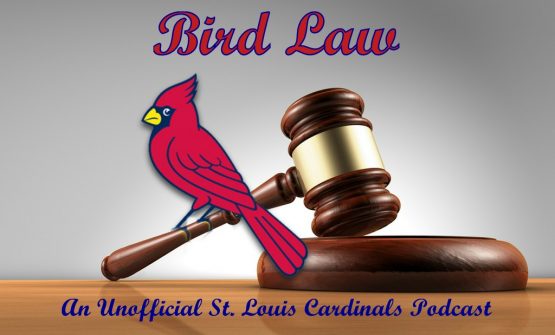 birdlawTEXT(large)