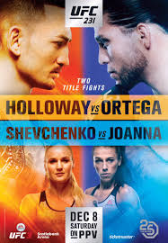 ufc 231