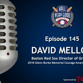 podcast - david mellor
