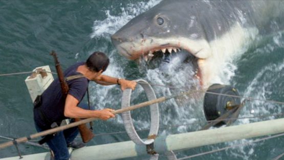 jaws