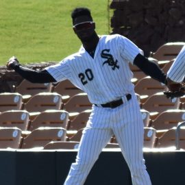 Luis Robert1