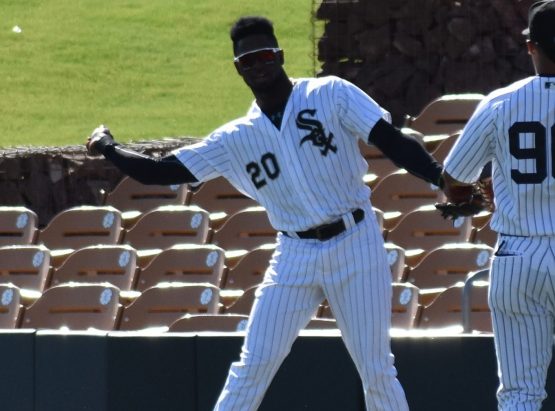 Luis Robert1