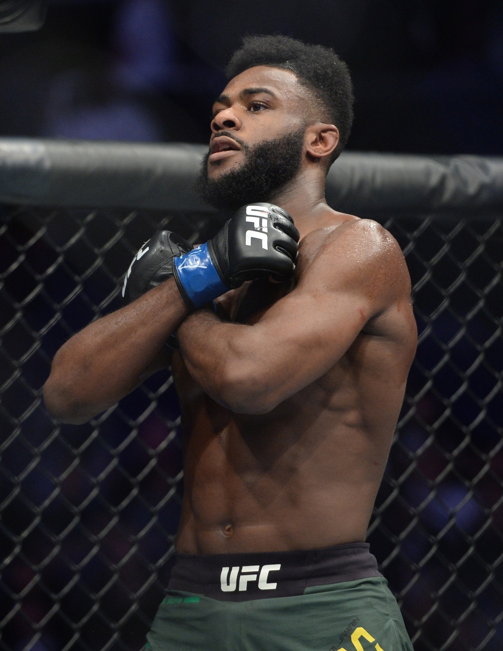 aljamain sterling