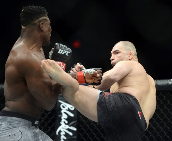 cain velasquez francis ngannou