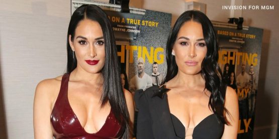 the bella twins