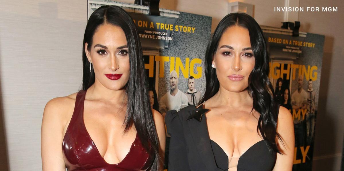 the bella twins