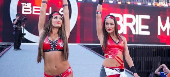 the bella twins