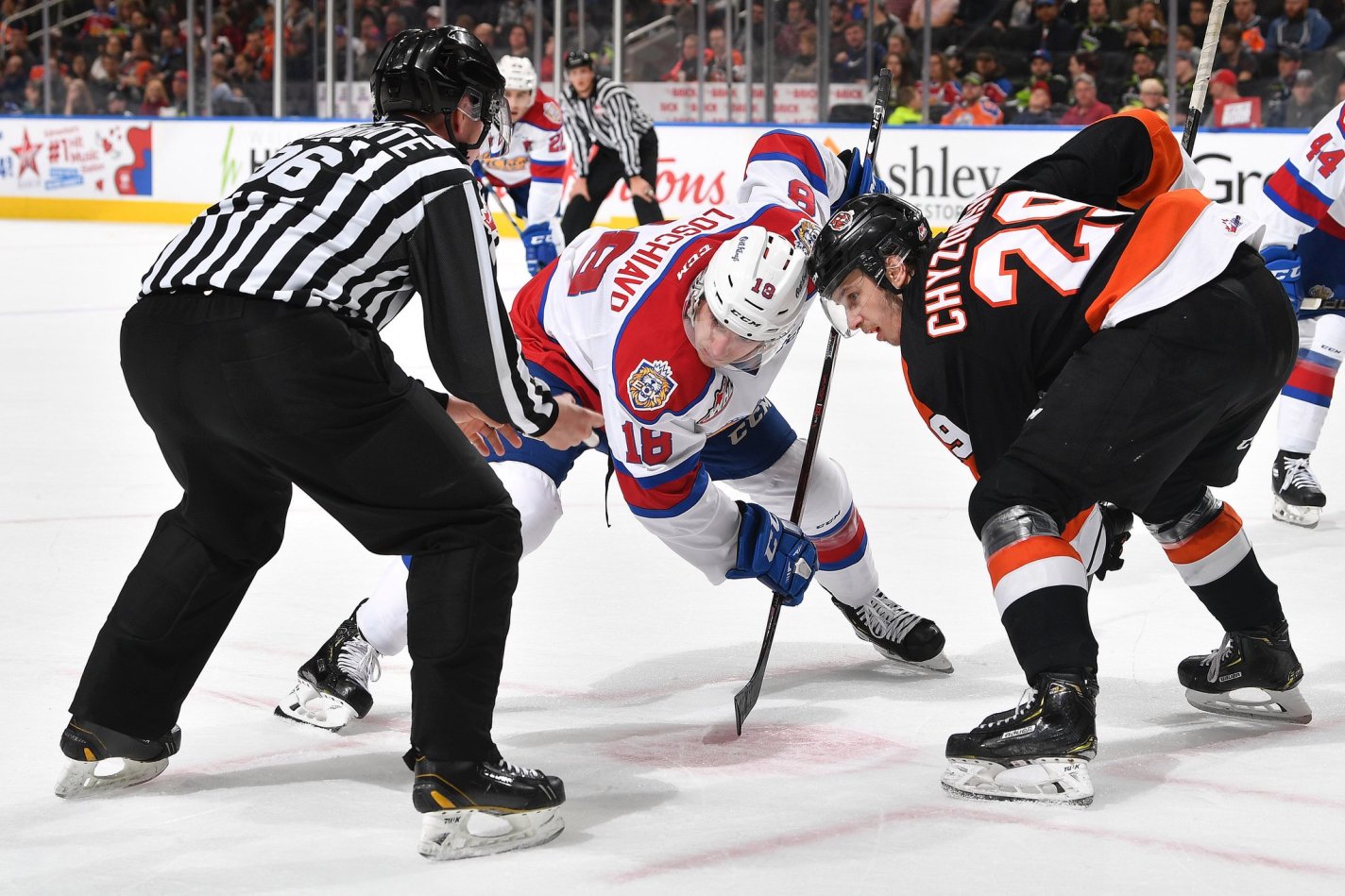 Oil Kings Med Hat