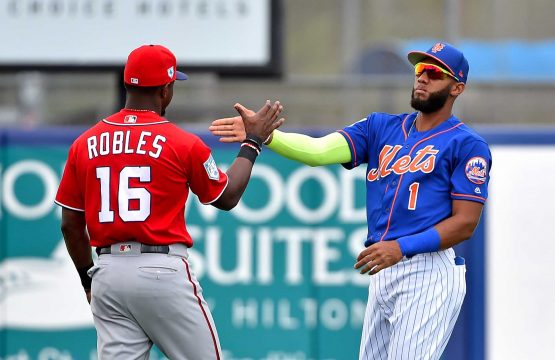 MLB: Spring Training-Washington Nationals at New York Mets
