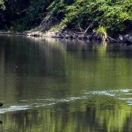 https___cdn.evbuc.com_images_58081831_53197171660_1_original