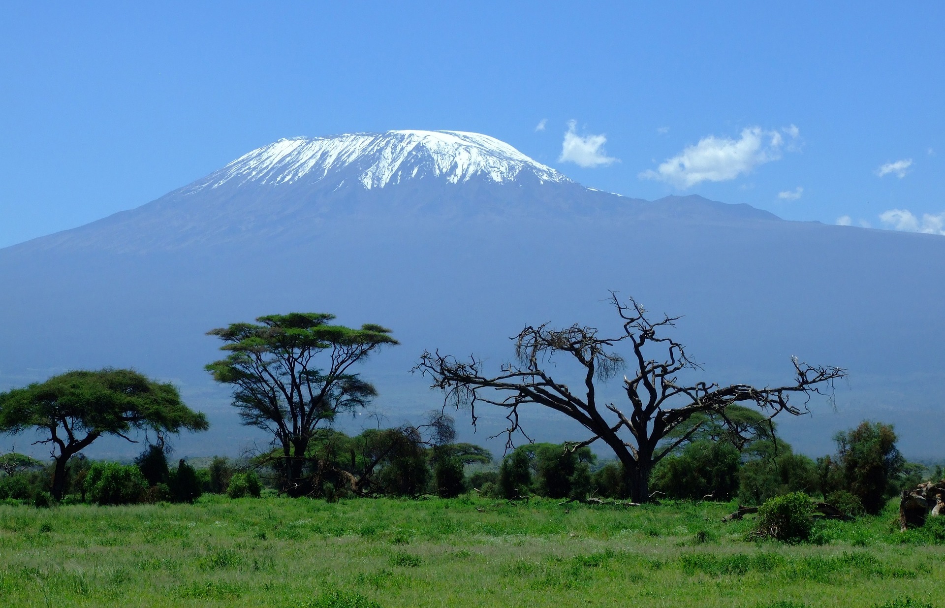 kilimanjaro-1025146_1920