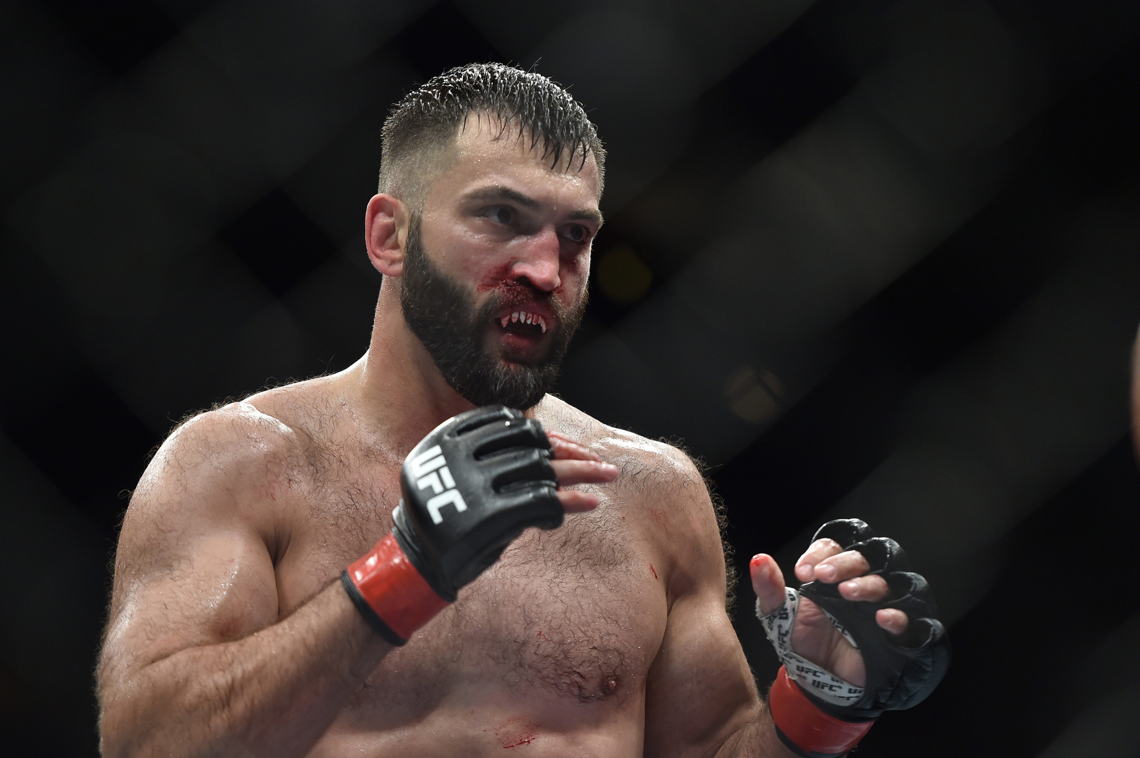 andrei arlovski