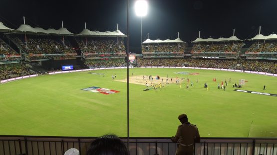 cricket-662956_1920