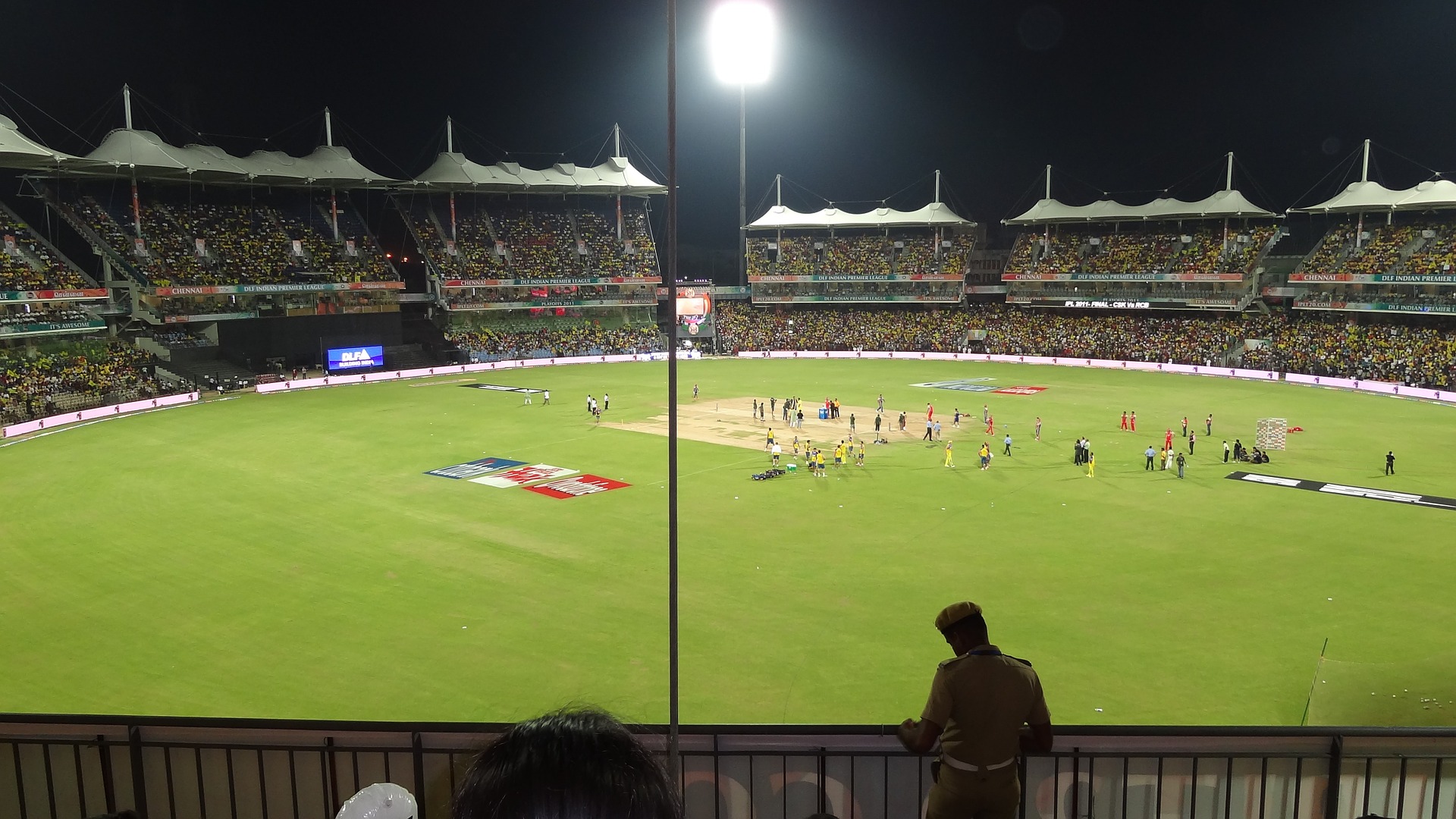 cricket-662956_1920