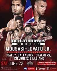 bellator 223 poster