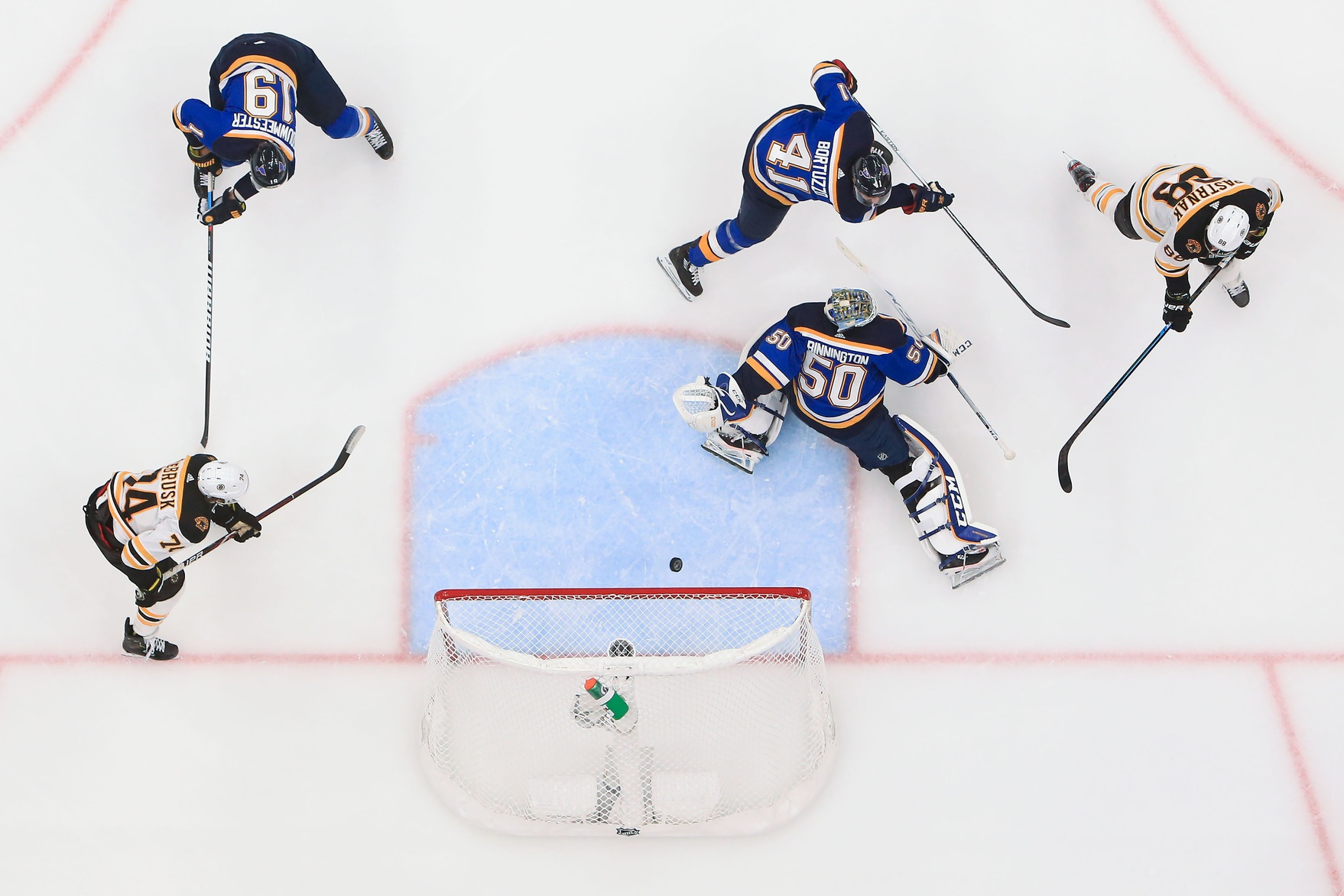 Blues Bruins