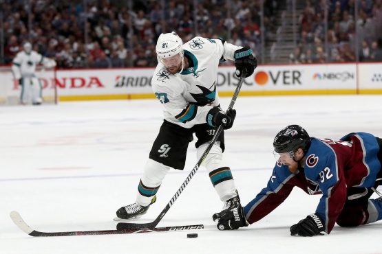 Donskoi
