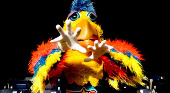 san diego chicken