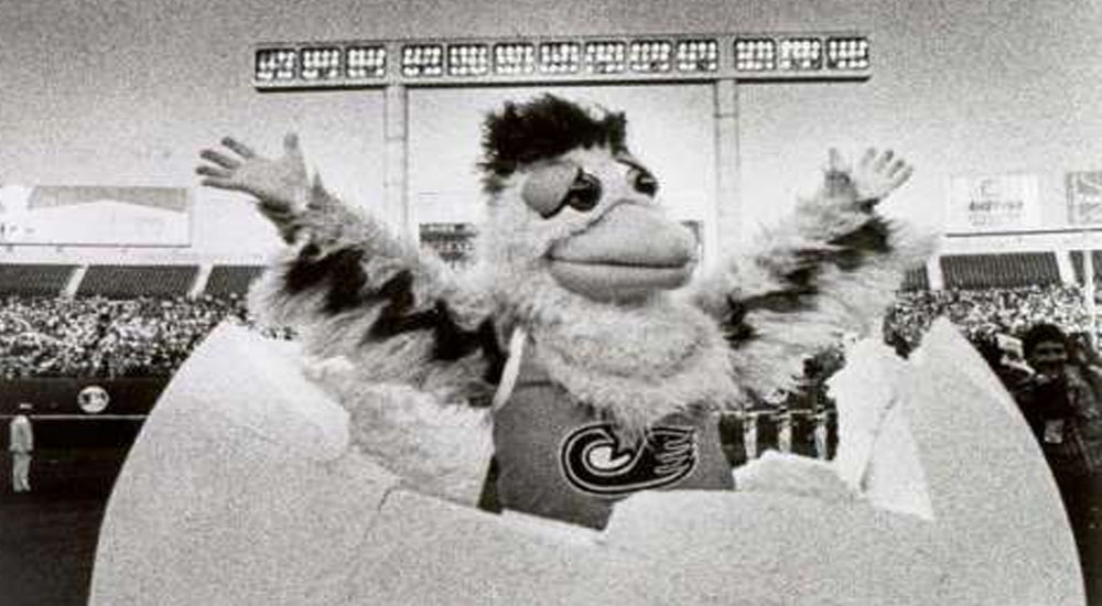 san diego chicken