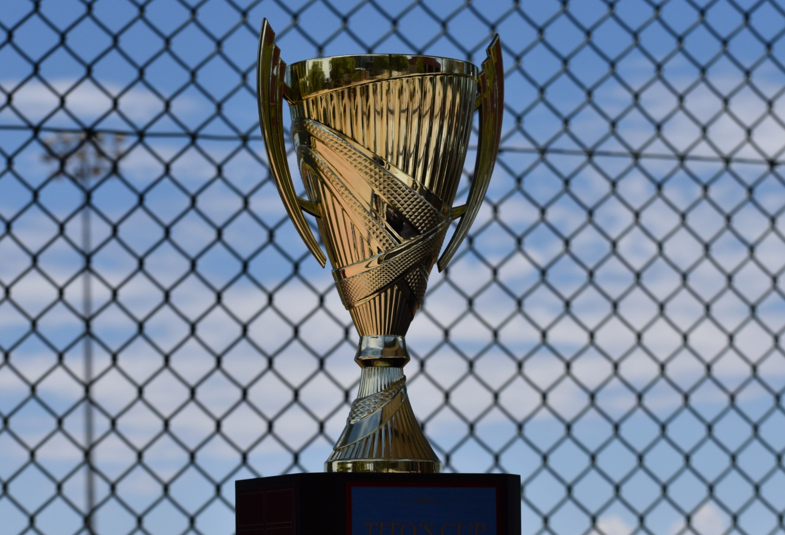 cup