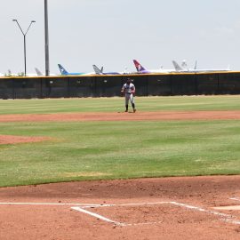 DSC_0031