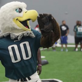 swoop