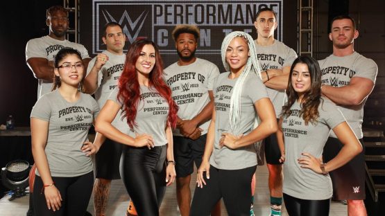 WWE PC