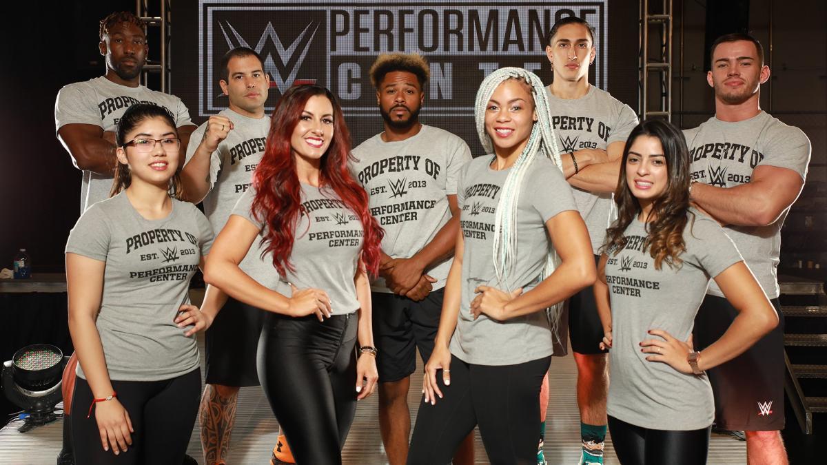 WWE PC