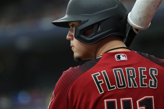 MLB: Arizona Diamondbacks at Tampa Bay Rays