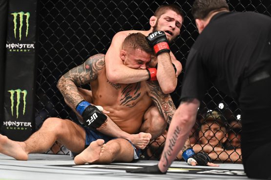 ufc 242 fighter salaries