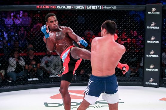 Lorenz Larkin