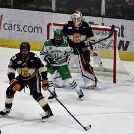 Westin Michaud 5