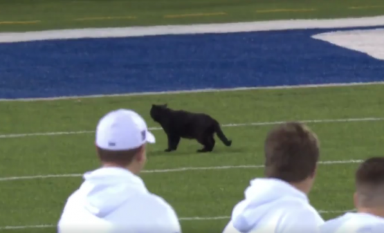 Screen Shot 2019-11-04 at 9.26.05 PM