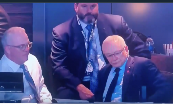 Screen Shot 2019-11-28 at 8.54.20 PM