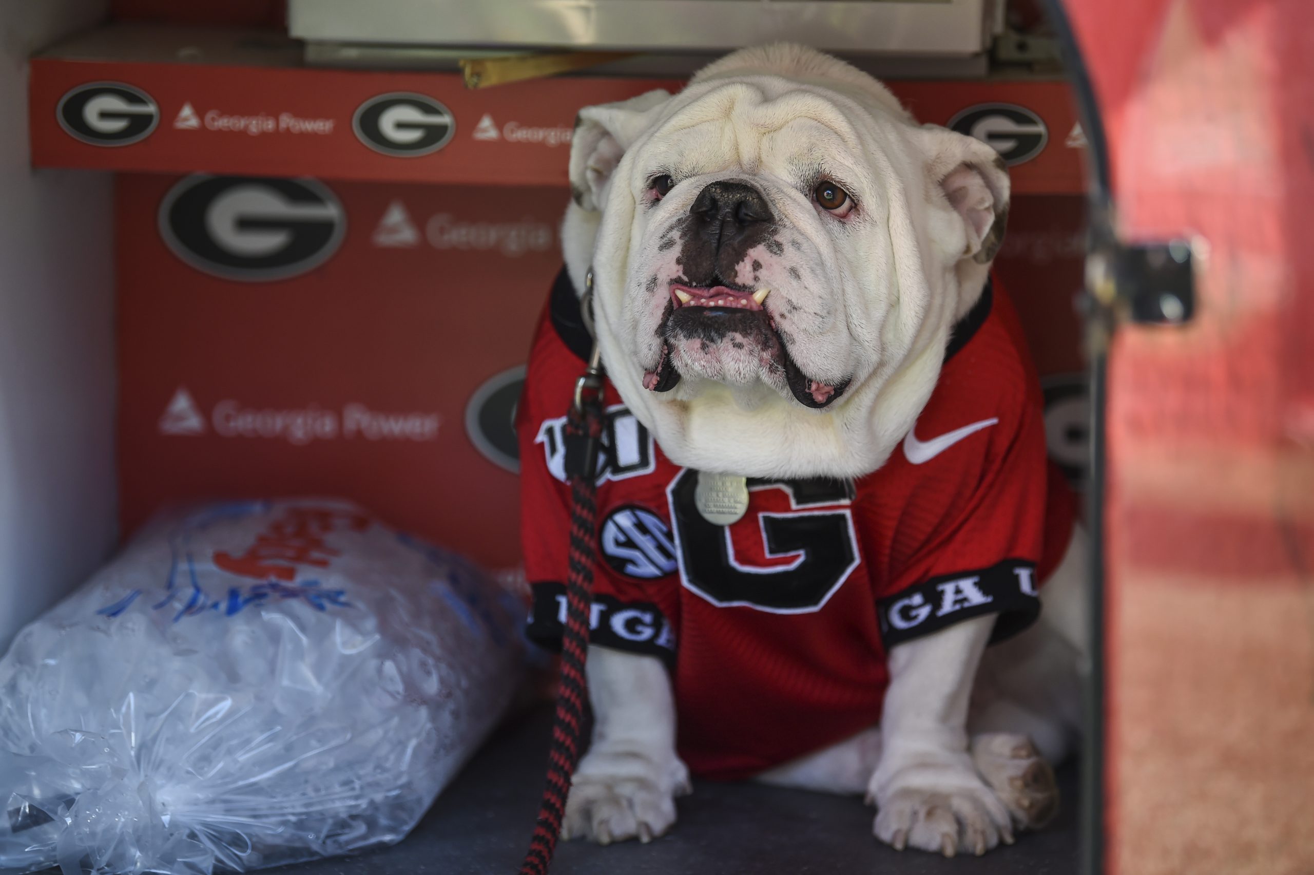 NCAA Football: South Carolina at Georgia