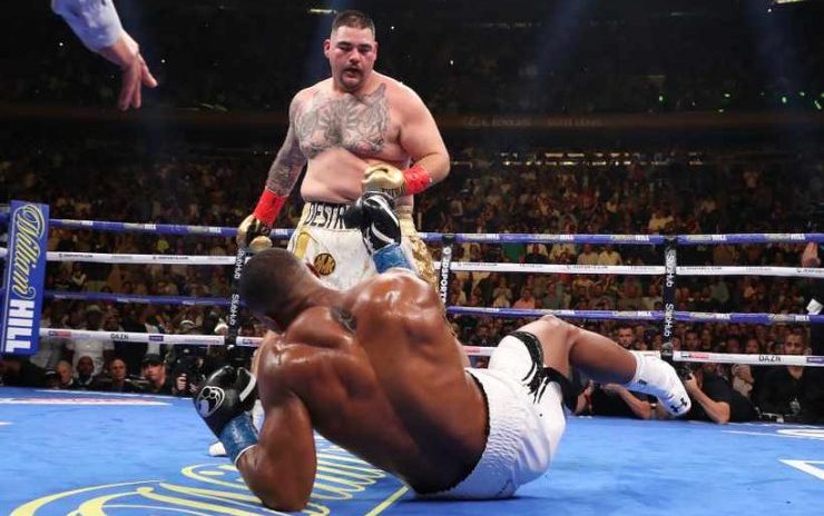 Anthony Joshua v Andy Ruiz Jr.