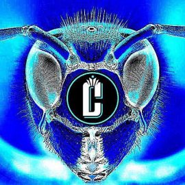 My Logo