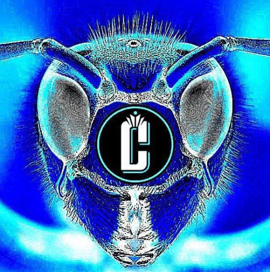 My Logo
